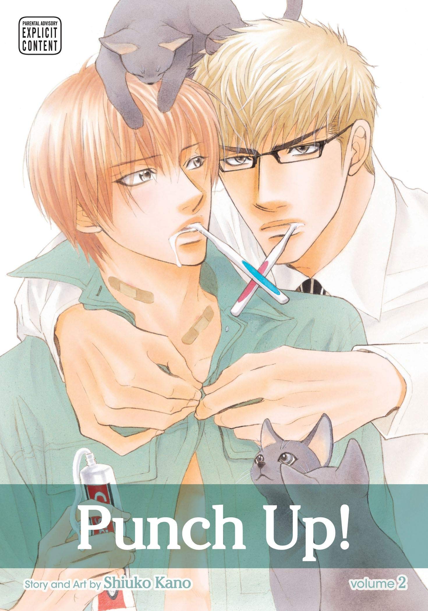Punch Up!, Vol. 2 (2),Used