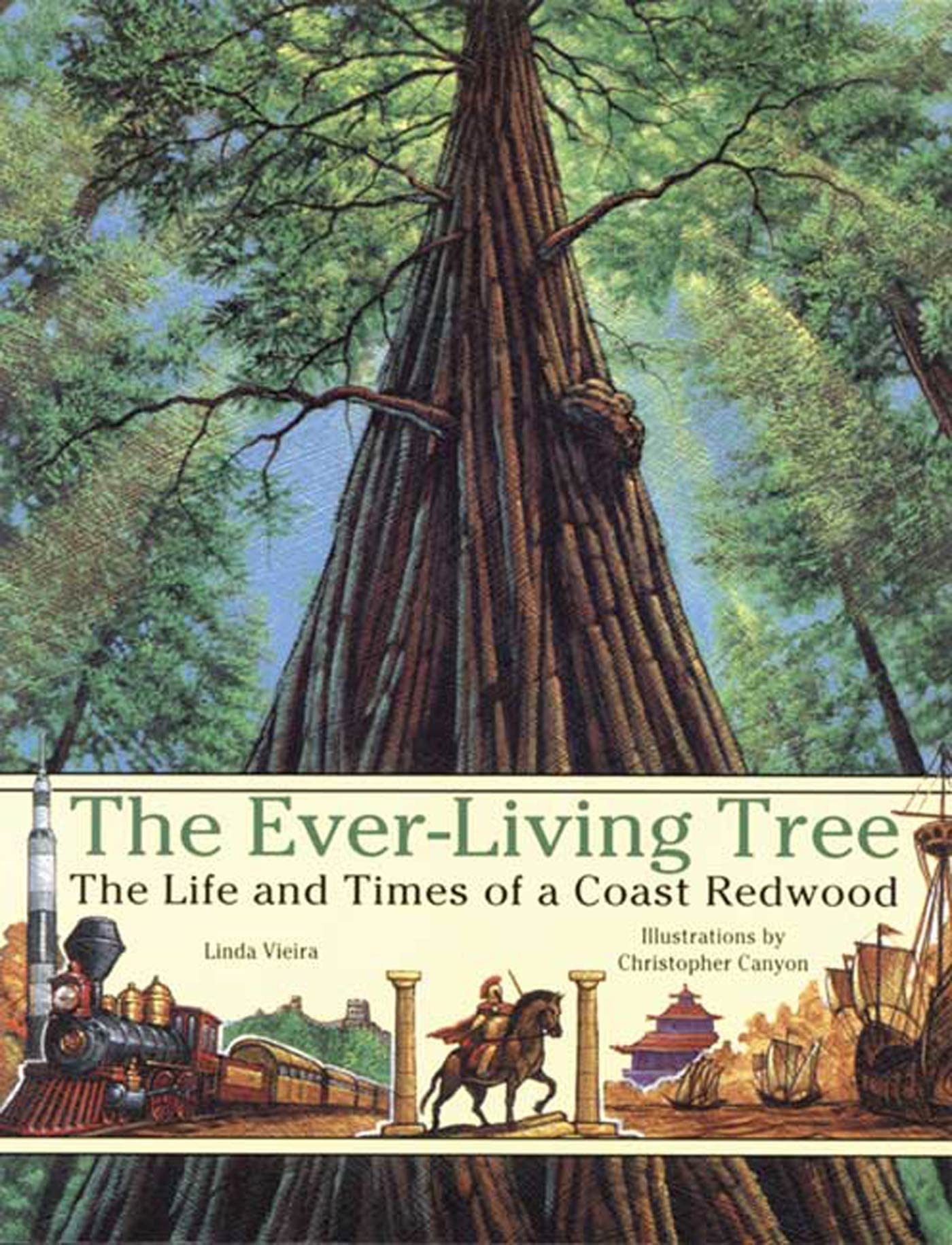 The EverLiving Tree: The Life and Times of a Coast Redwood,New