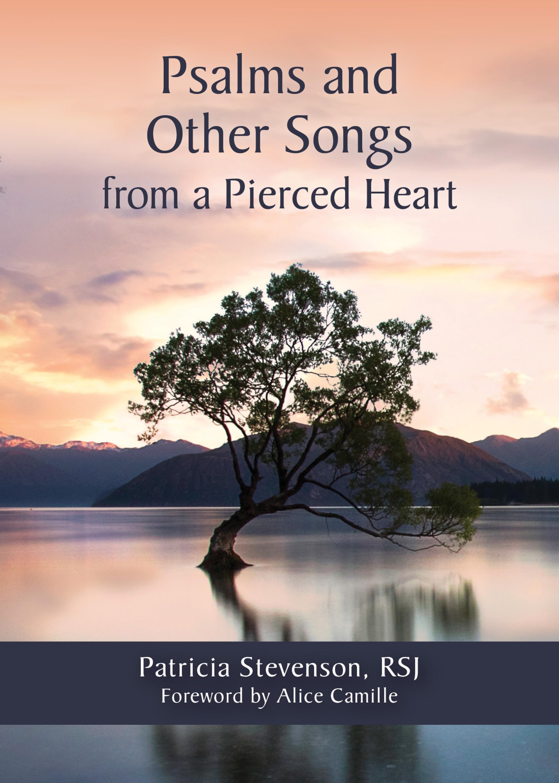 Psalms And Other Songs From A Pierced Heart,Used