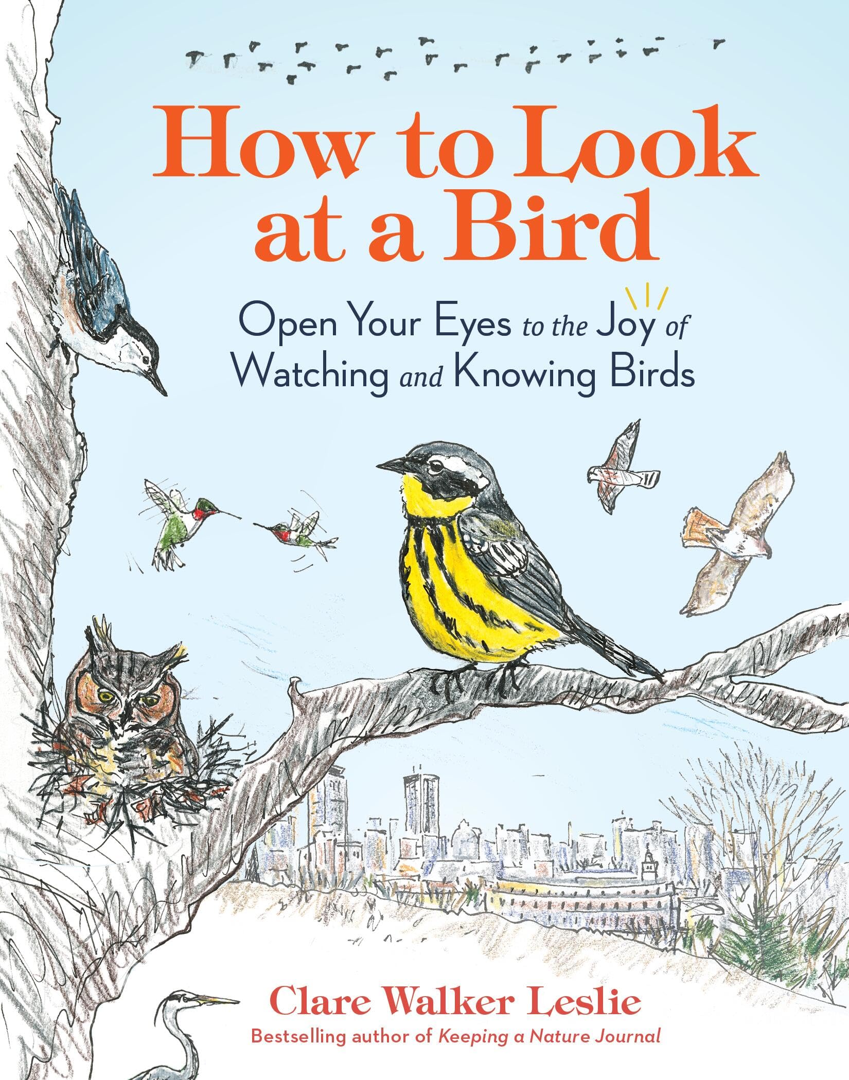 How To Look At A Bird: Open Your Eyes To The Joy Of Watching And Knowing Birds,Used