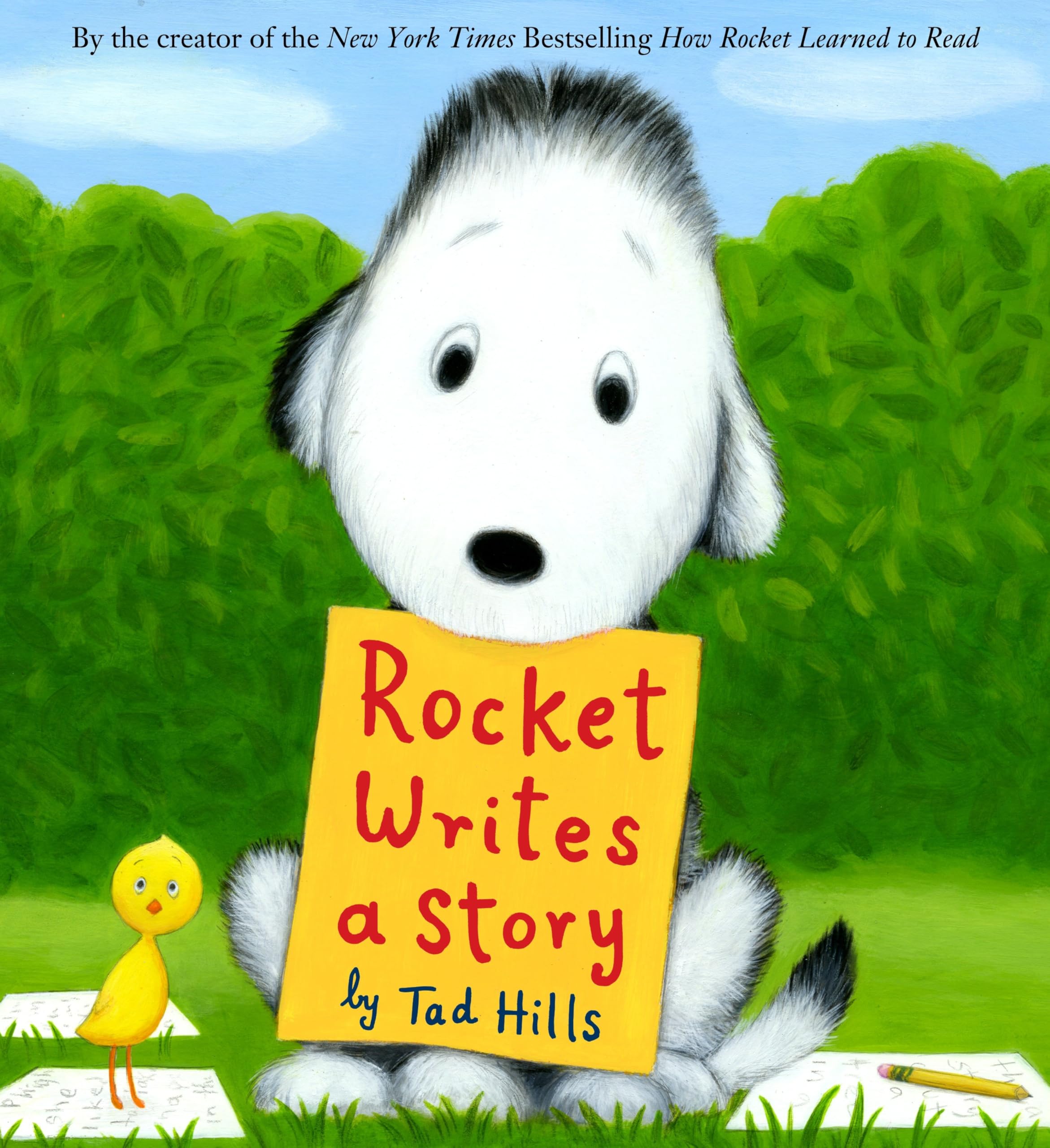 Rocket Writes a Story,New