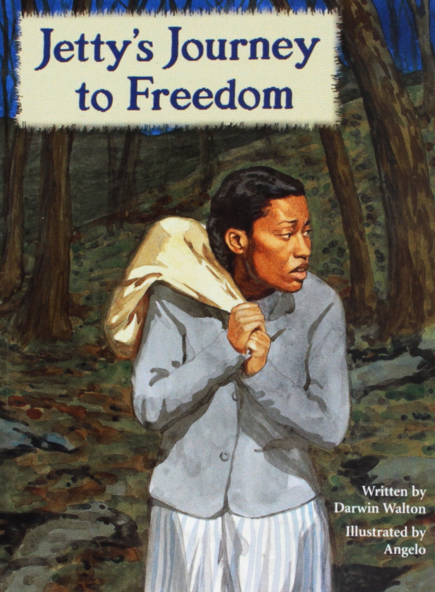 SteckVaughn PairIt Books Proficiency Stage 6: Individual Student Edition Jetty's Journey to Freedom,Used