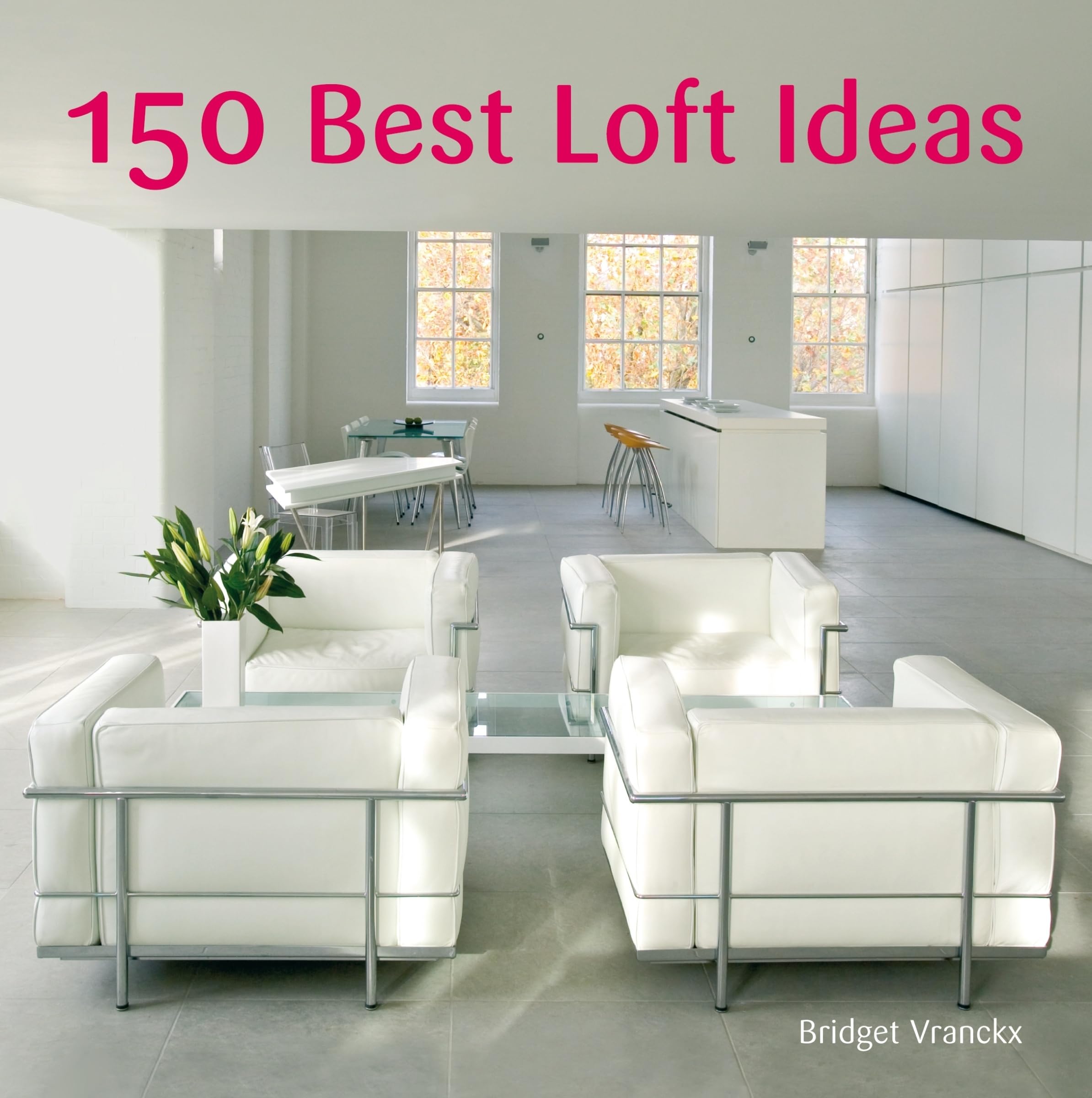 150 Best Loft Ideas,Used