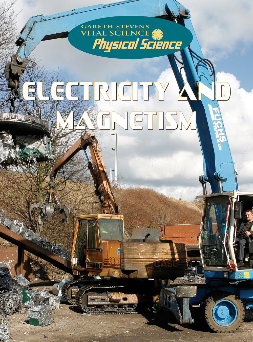 Electricity and Magnetism (Gareth Stevens Vital Science: Physical Science),Used