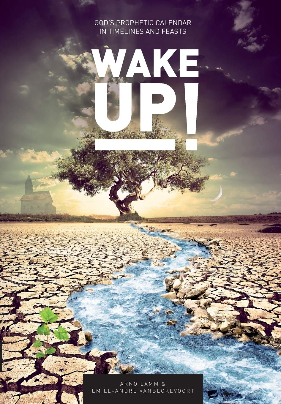 Wake Up!: God's Prophetic Calendar in Timelines and Feasts,Used