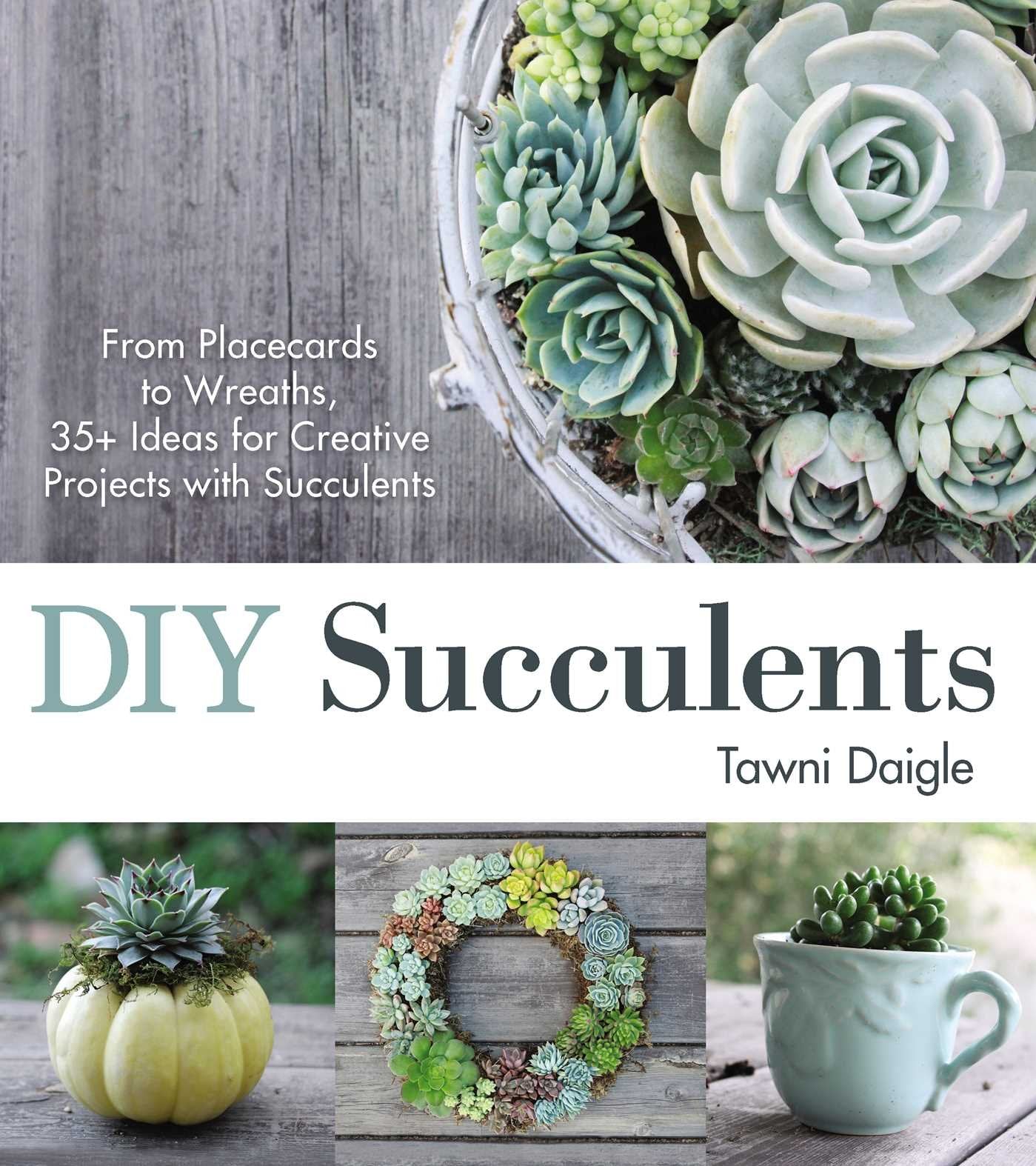 DIY Succulents: From Placecards to Wreaths, 35+ Ideas for Creative Projects with Succulents,Used
