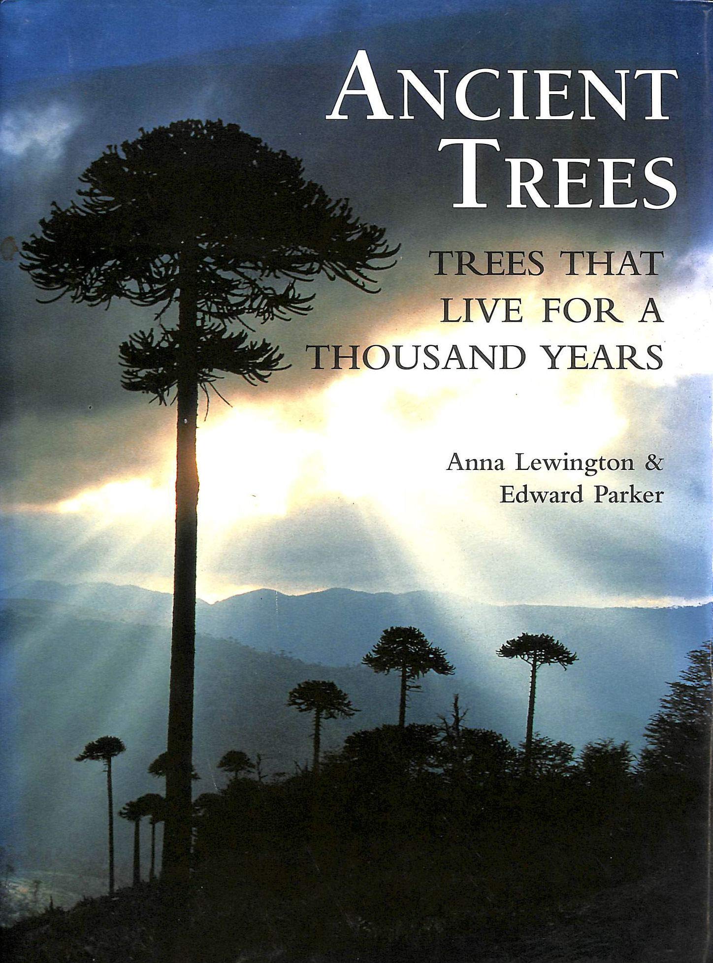 Ancient Trees: Trees That Live For 1,000 Years,Used