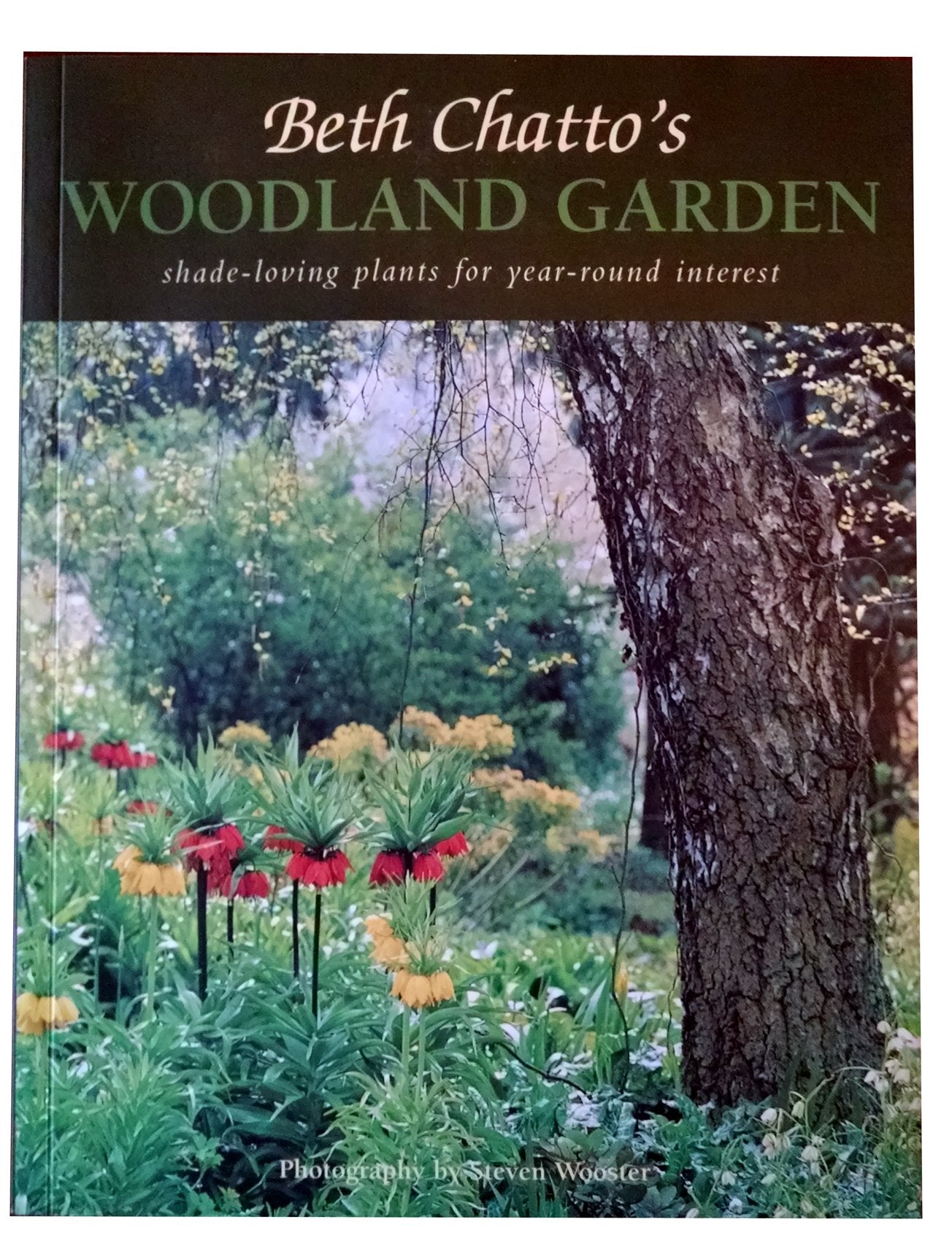 Beth Chattos Woodland Garden: ShadeLoving Plants for YearRound Interest