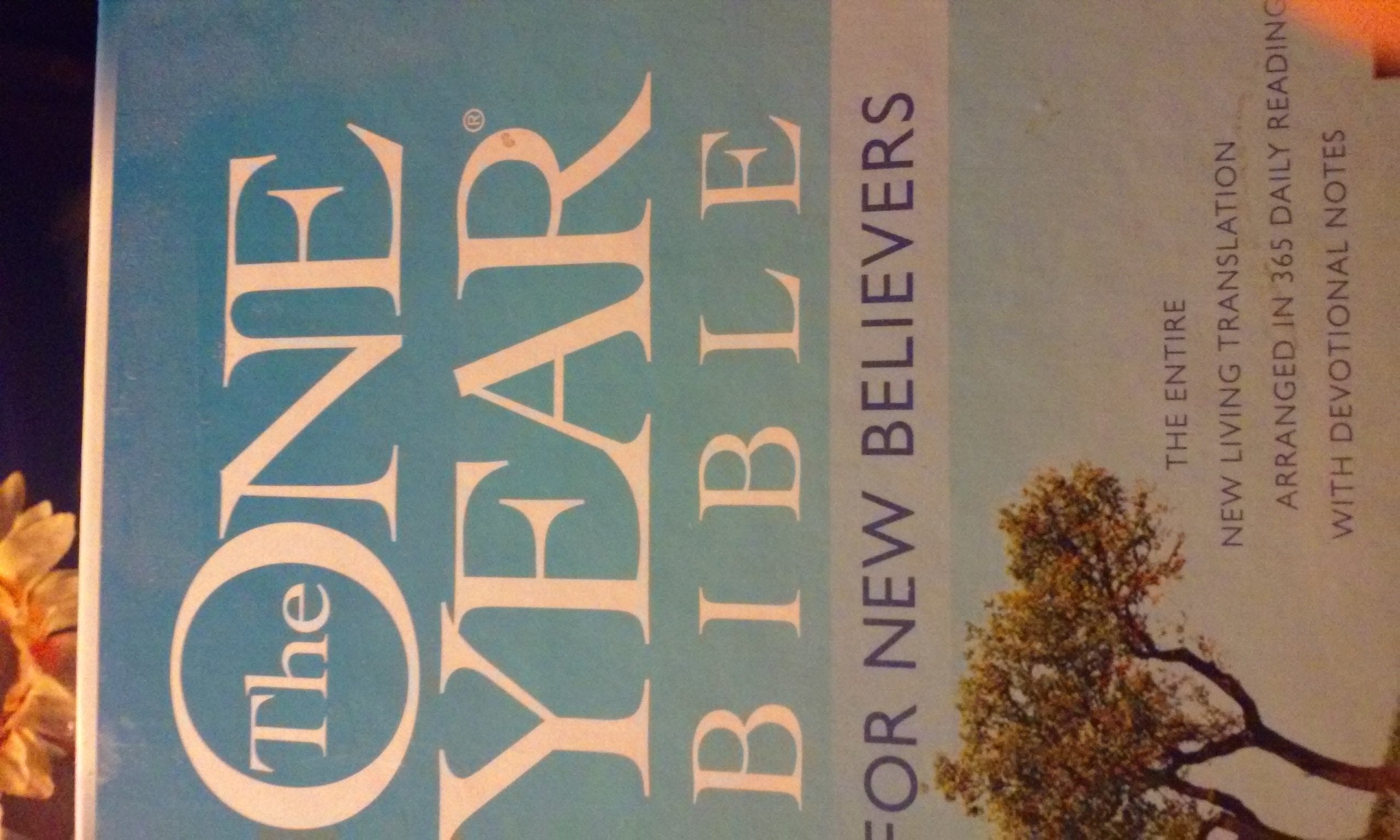 The One Year Bible For New Believers Nlt