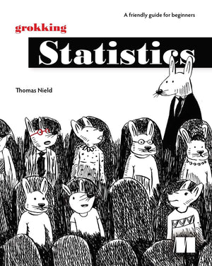 Grokking Statistics: 9781633434769