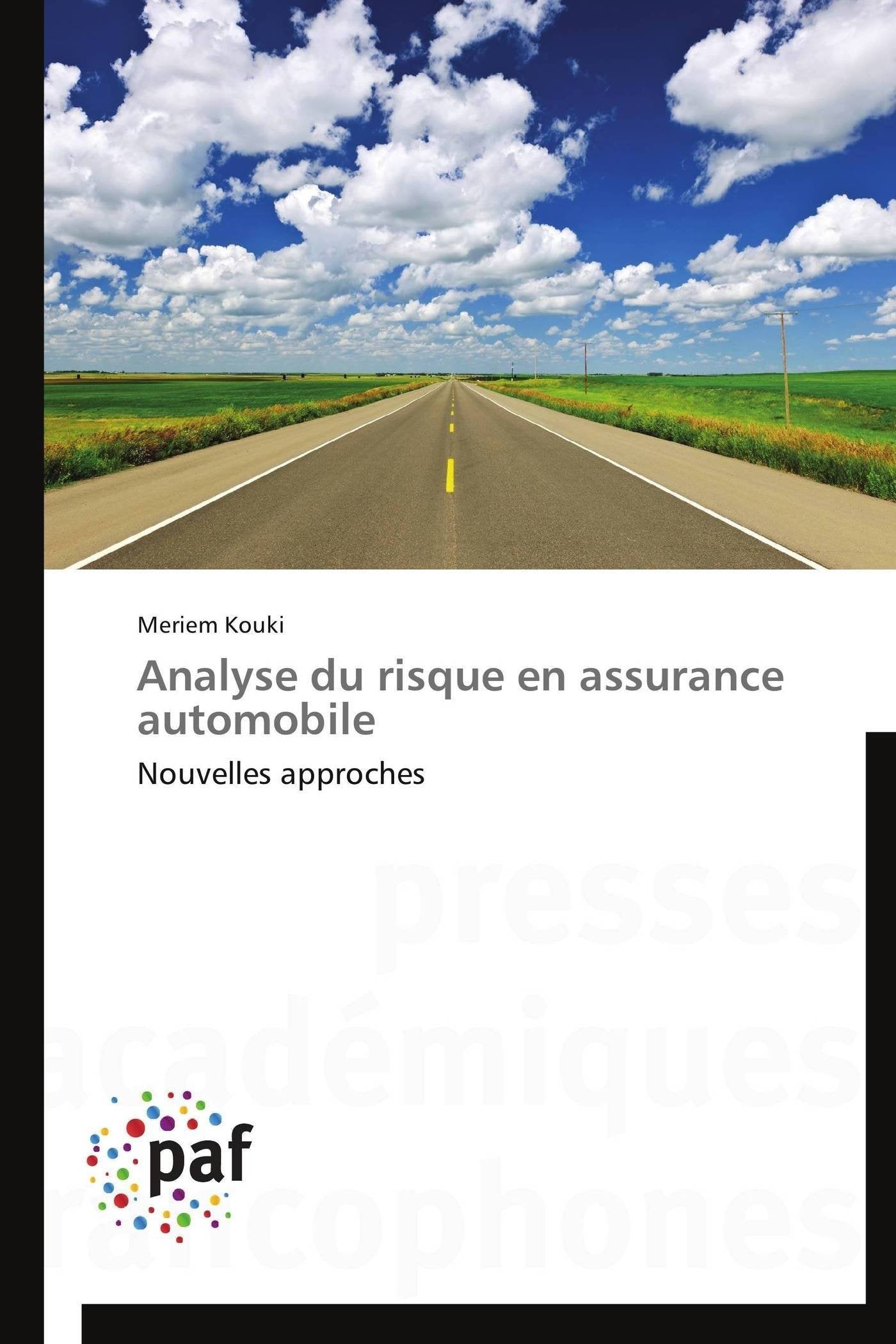 Analyse du risque en assurance automobile: Nouvelles approches (Omn.Pres.Franc.) (French Edition),Used