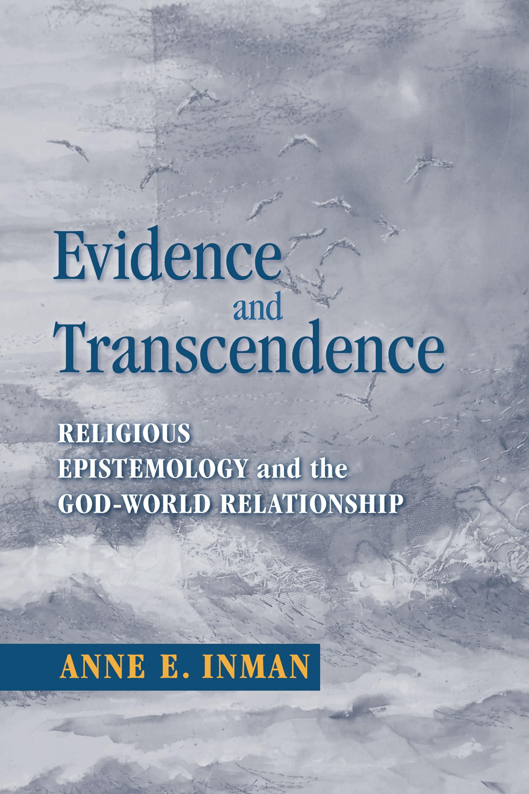 Evidence And Transcendence: Religious Epistemology And The Godworld Relationship,Used