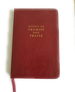 Words of Promise and Praise,Used
