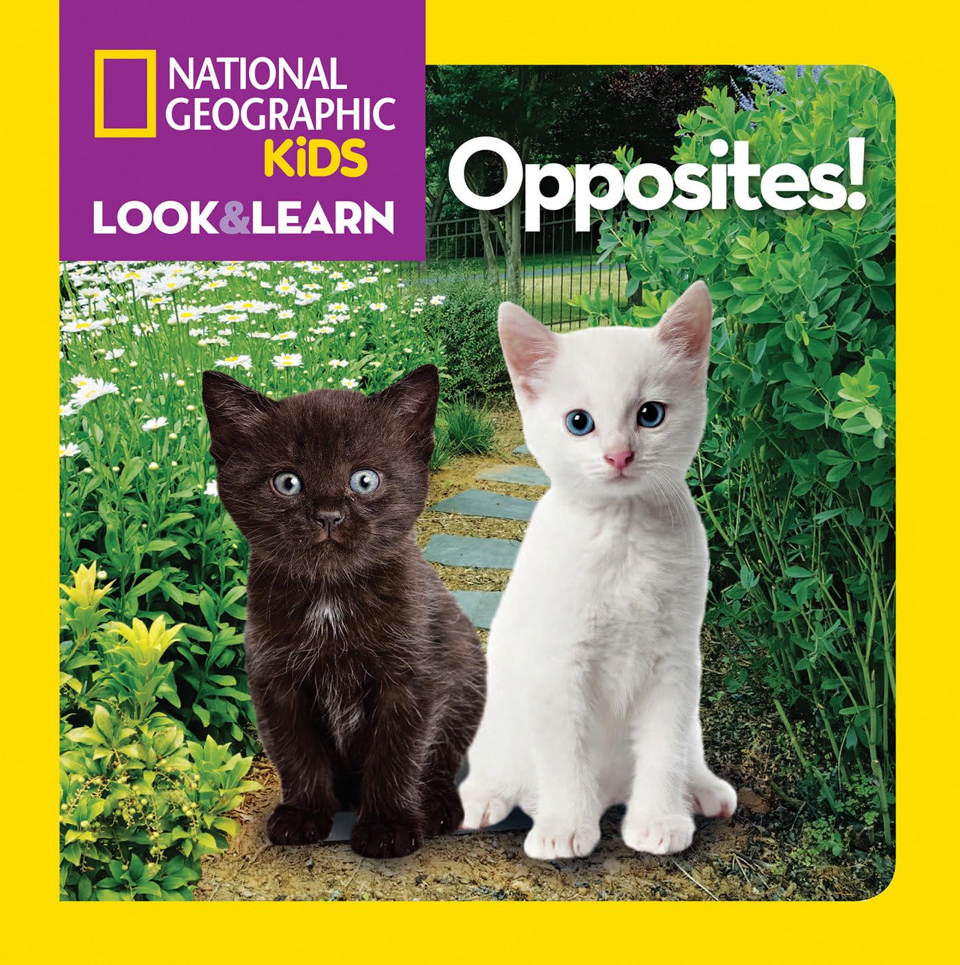 National Geographic Kids Look and Learn: Opposites! (Look & Learn),Used