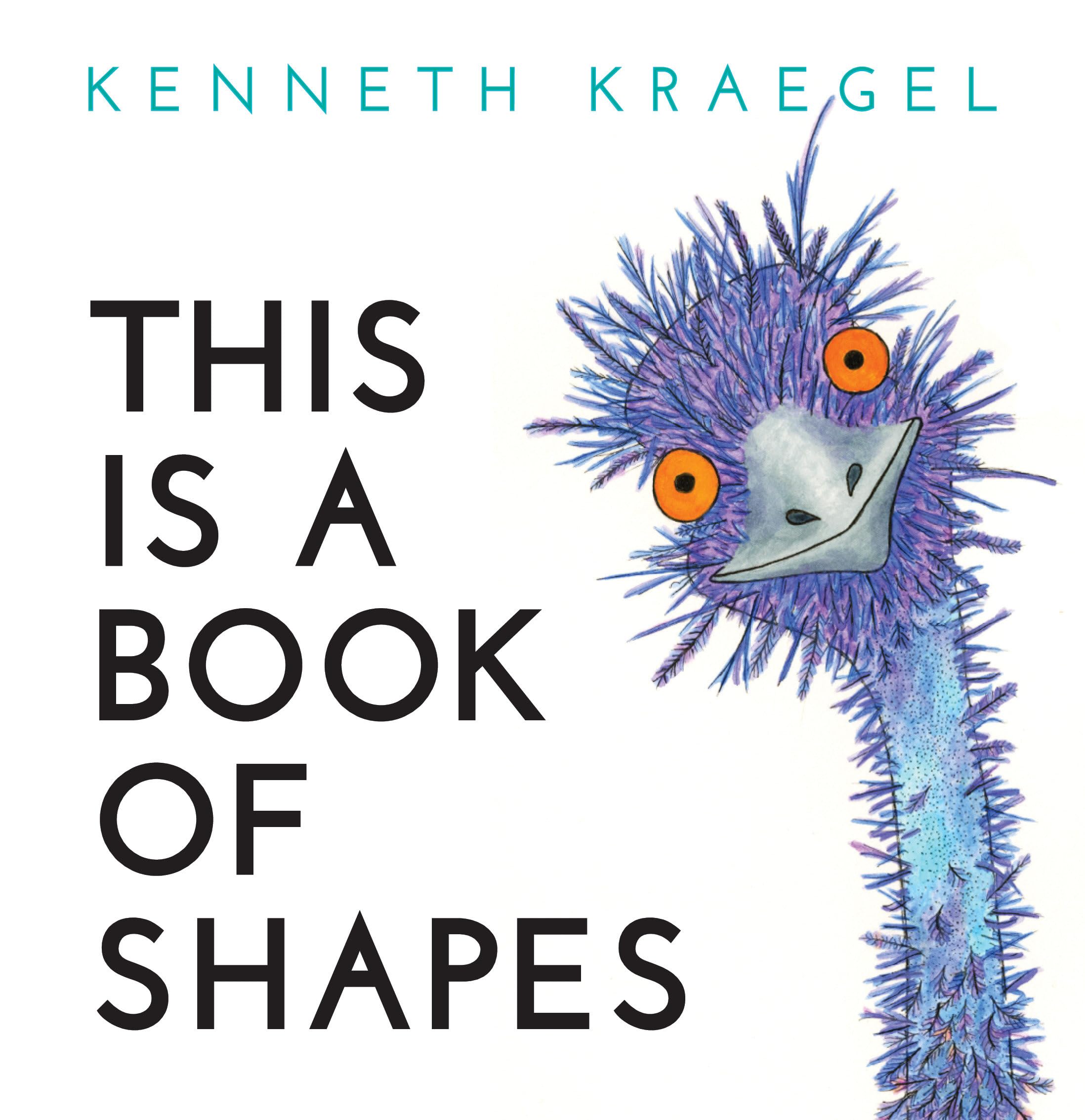 This Is a Book of Shapes,Used