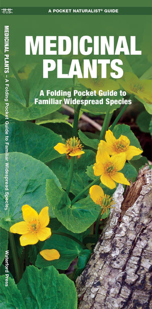 Medicinal Plants: A Folding Pocket Guide to Familiar Widespread Species (Nature Observation North America),Used