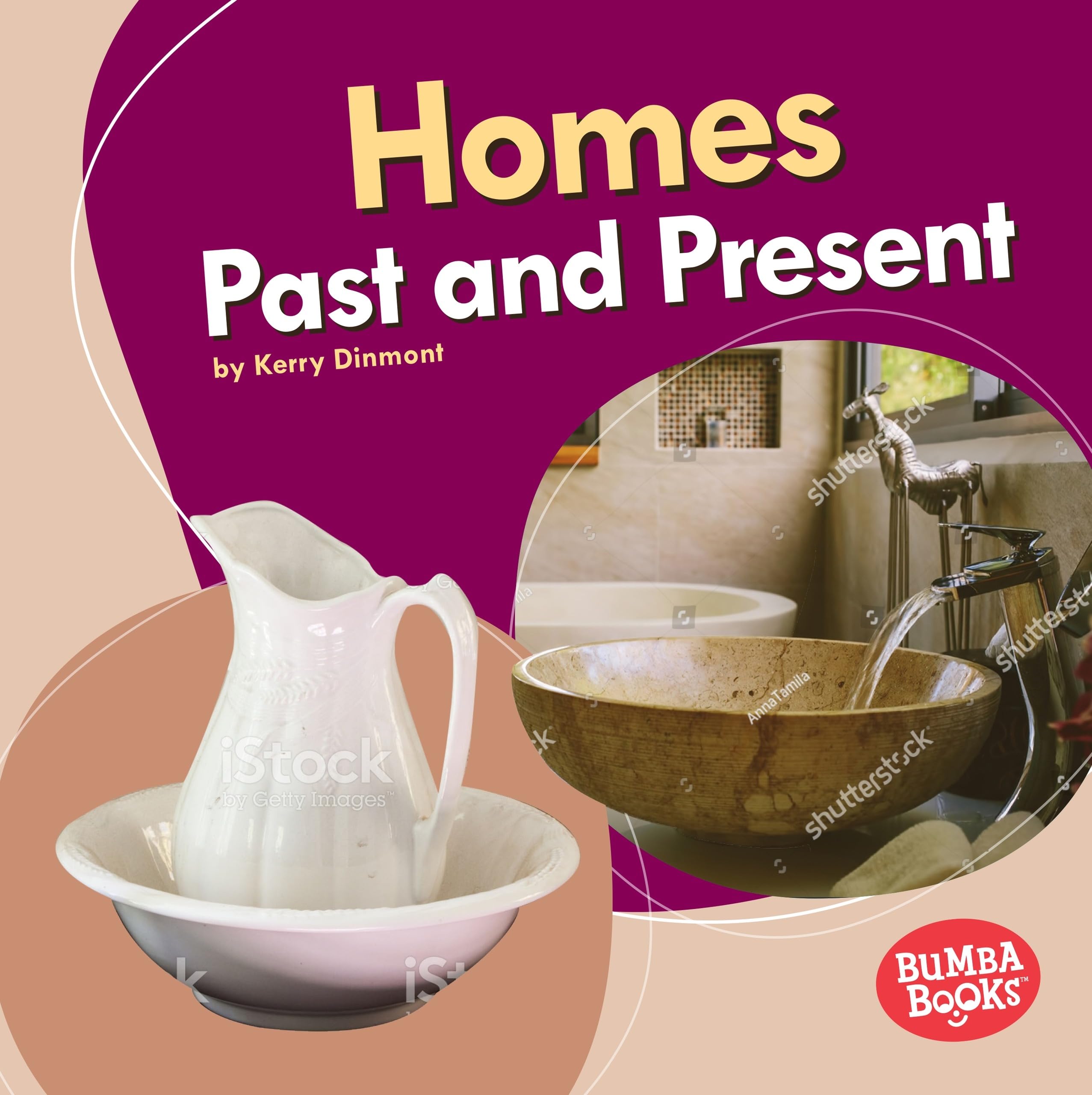Homes Past and Present (Bumba Books   Past and Present),Used