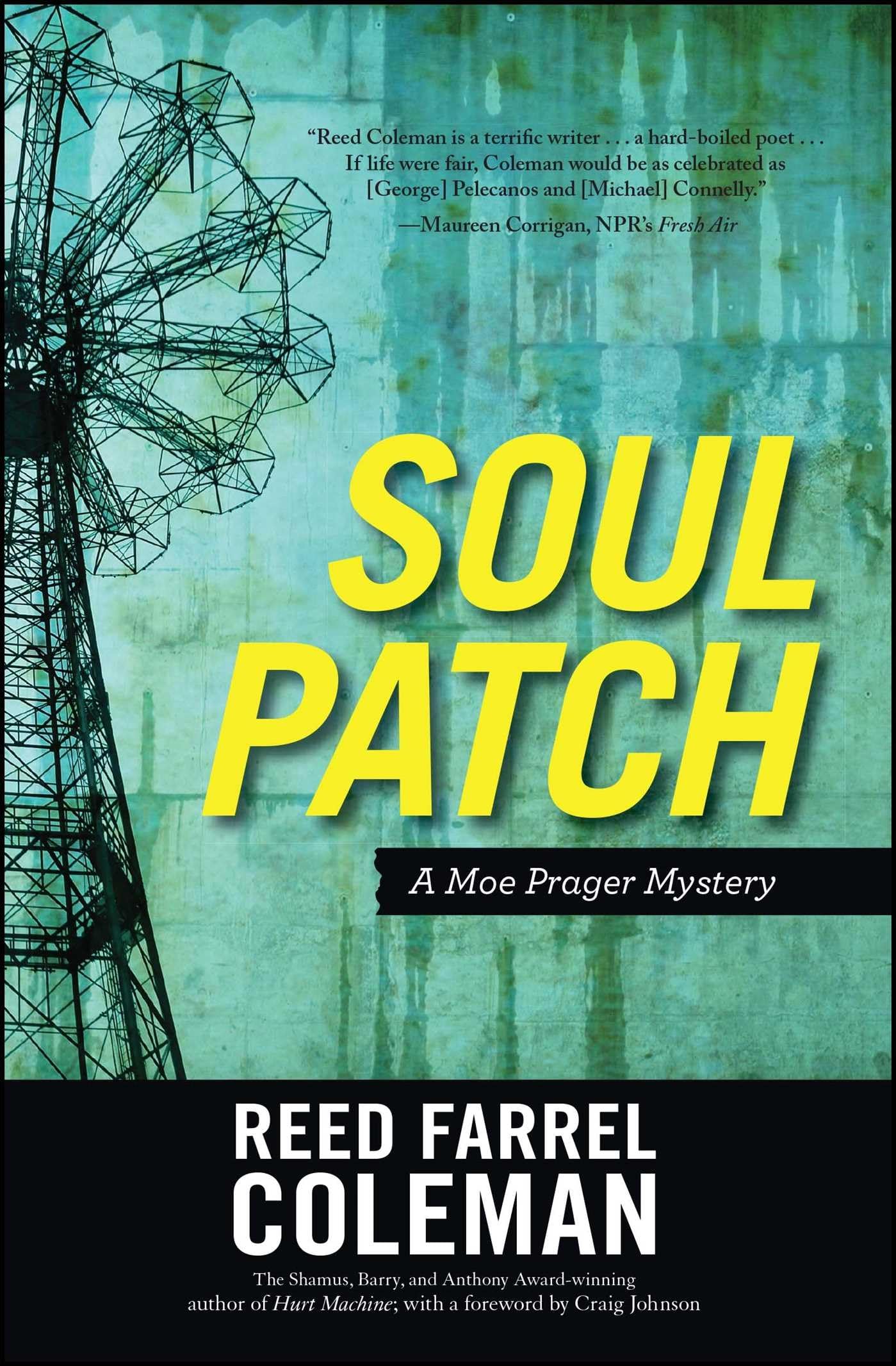 Soul Patch (Moe Prager Mystery),Used