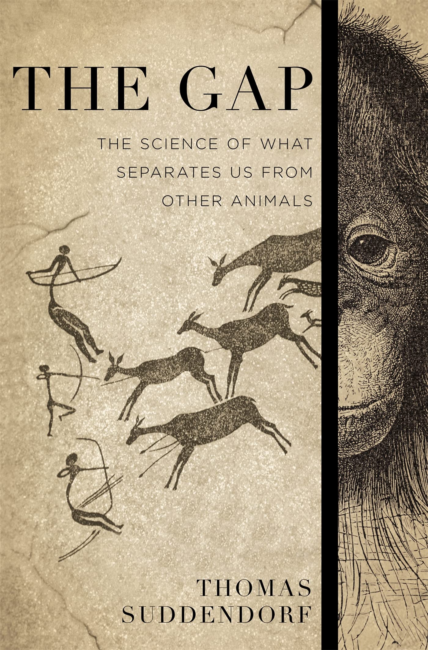 The Gap: The Science of What Separates Us from Other Animals,Used