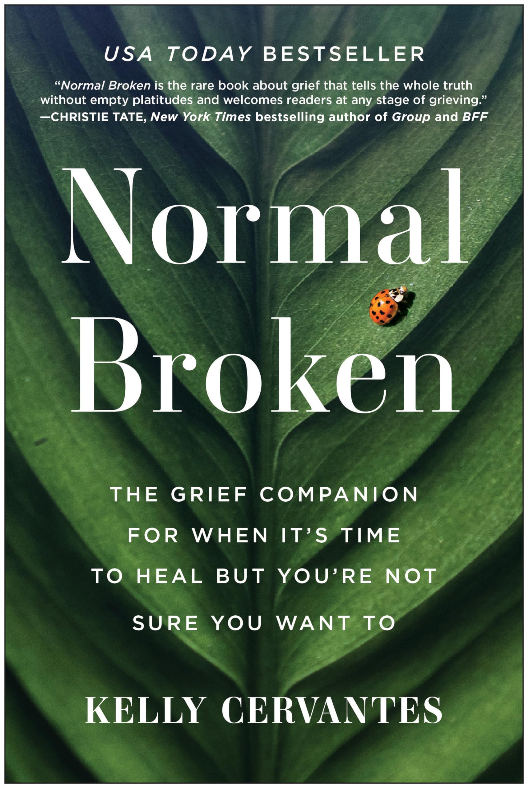 Normal Broken: The Grief Companion For When It'S Time To Heal But You'Re Not Sure You Want To,Used