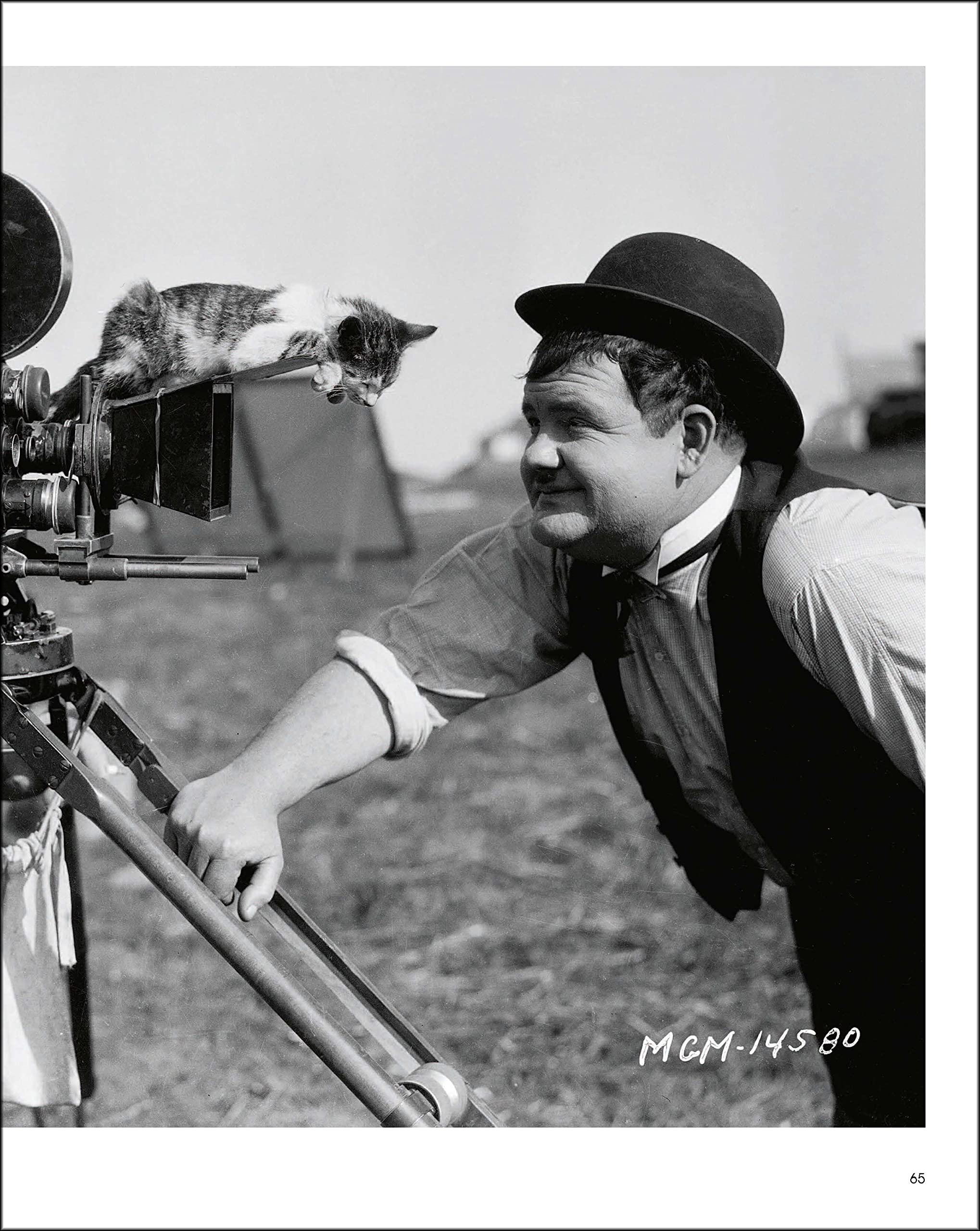 Hollywood Cats: Photographs From the John Kobal Foundation