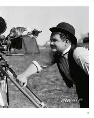 Hollywood Cats: Photographs From the John Kobal Foundation