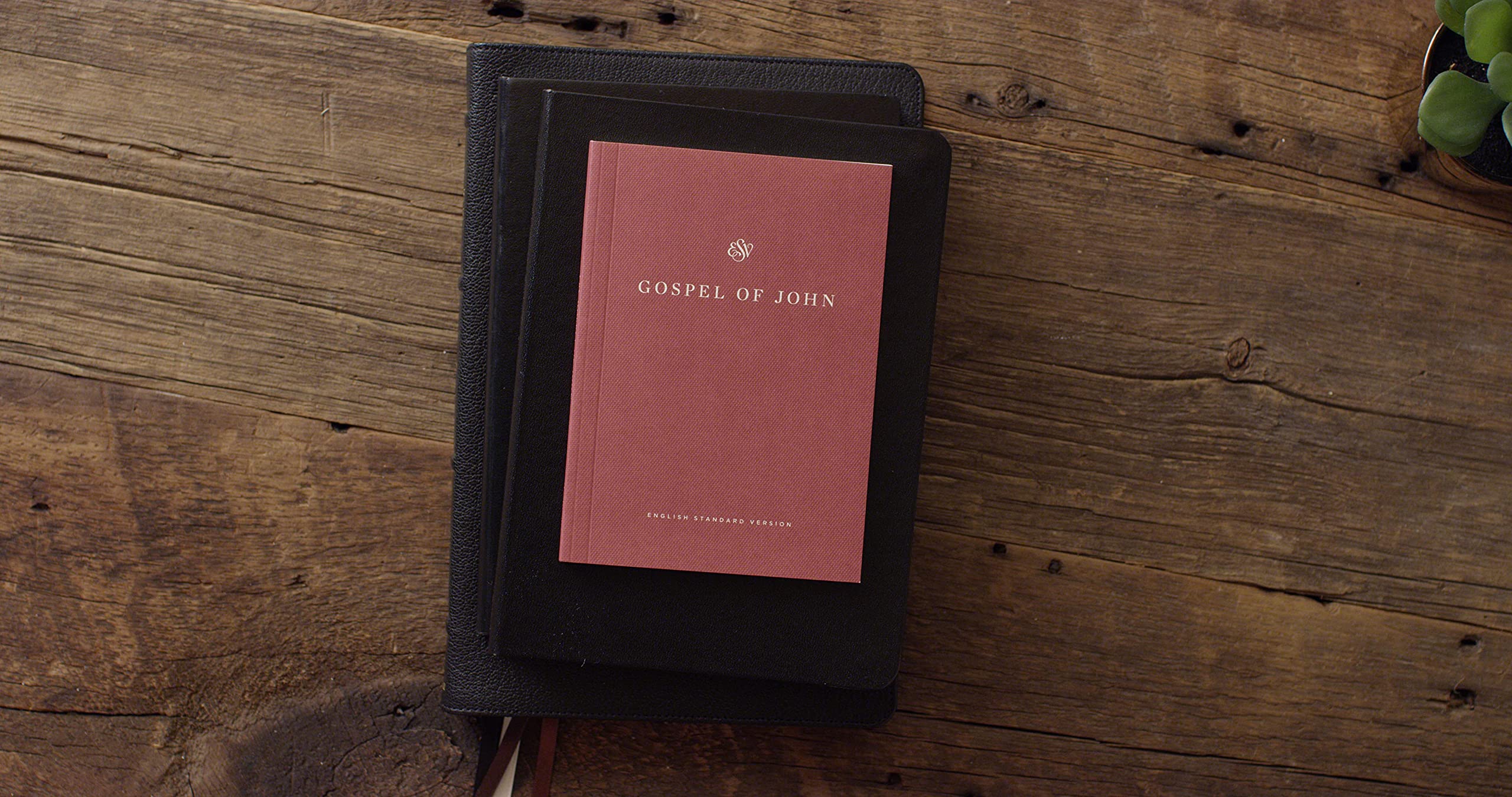 ESV Gospel of John, Share the Good News Edition (Paperback),Used