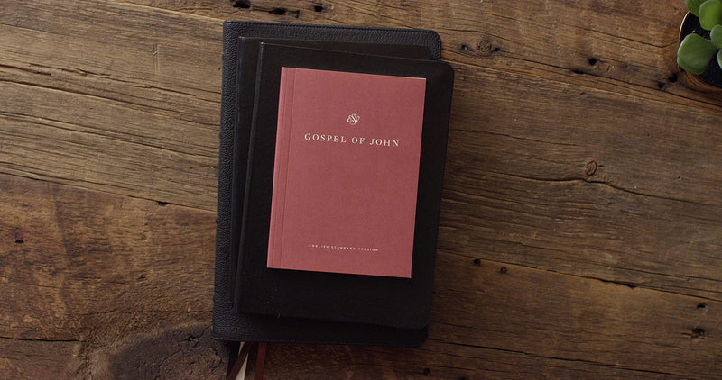 ESV Gospel of John, Share the Good News Edition (Paperback),Used