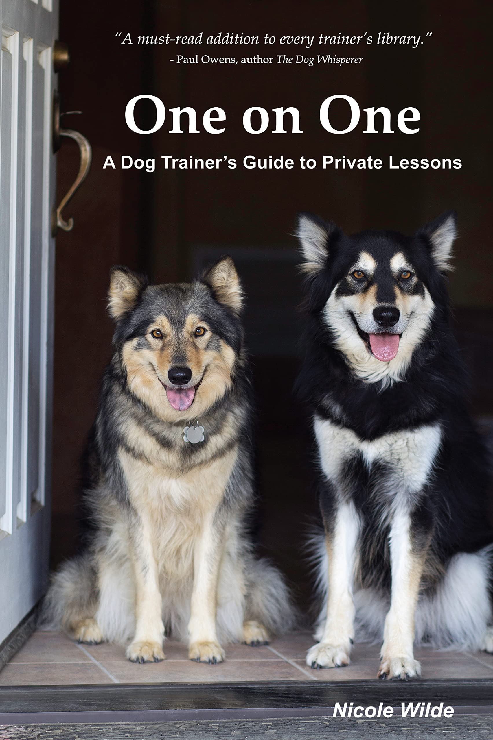 One On One: A Dog Trainers Guide To Private Training-new
