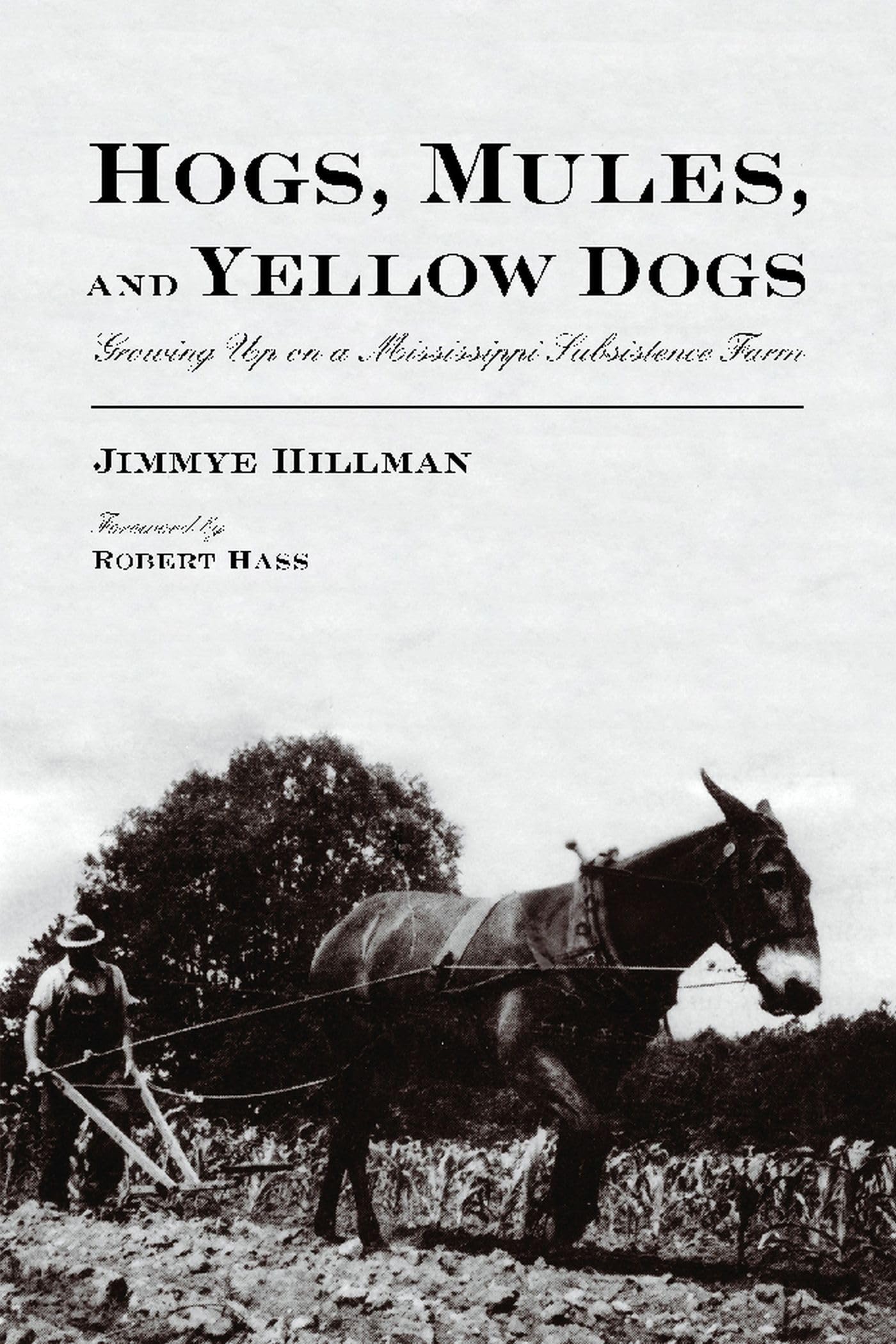 Hogs, Mules, And Yellow Dogs: Growing Up On A Mississippi Subsistence Farm,Used