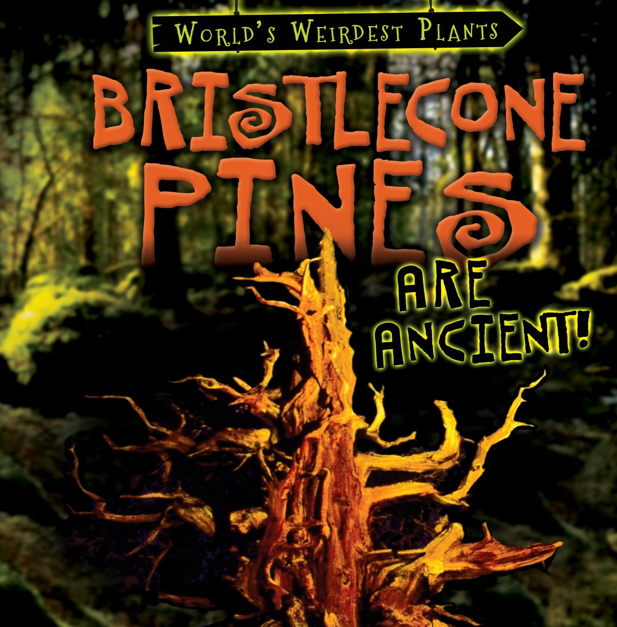 Bristlecone Pines Are Ancient! (World's Weirdest Plants),Used