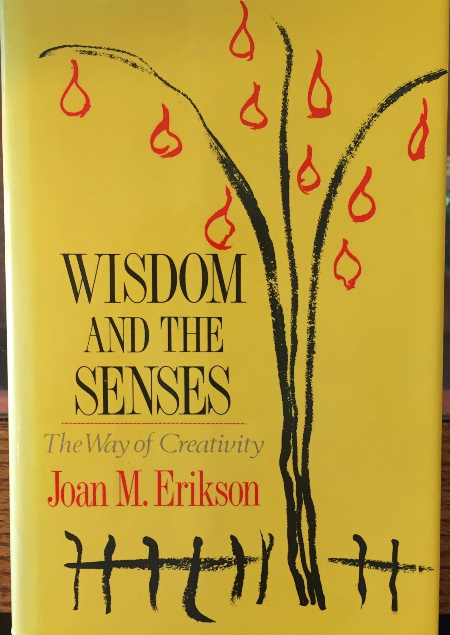 Wisdom and the Senses: The Way of Creativity,Used