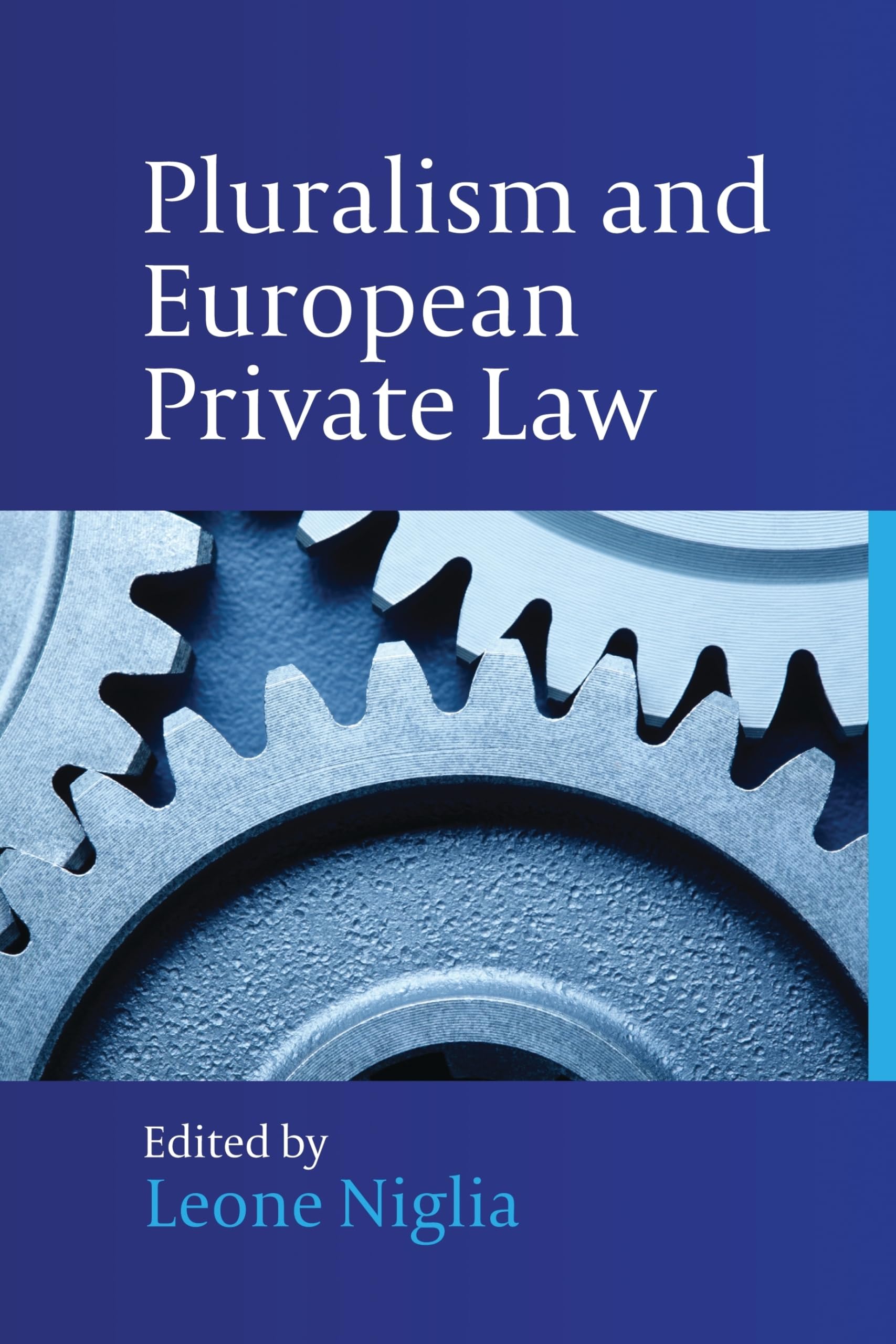 Pluralism And European Private Law,Used