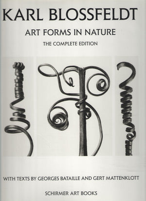 Karl Blossfeldt: Art Forms in Nature,New