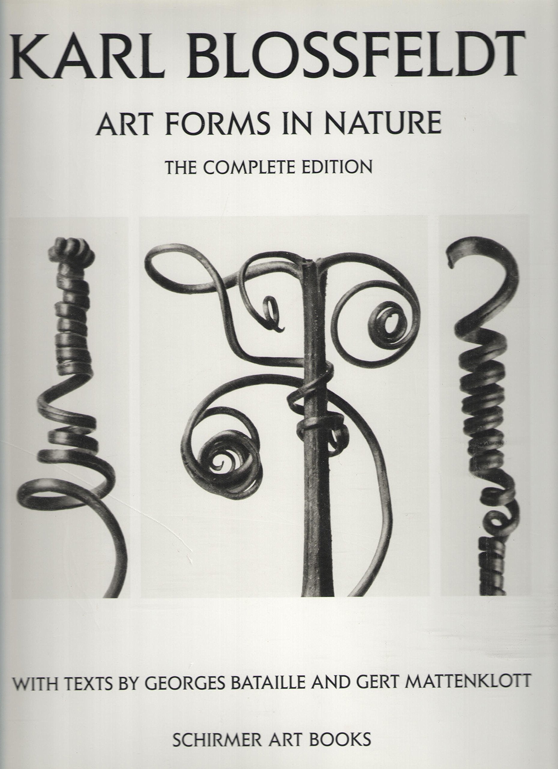 Karl Blossfeldt: Art Forms in Nature,Used