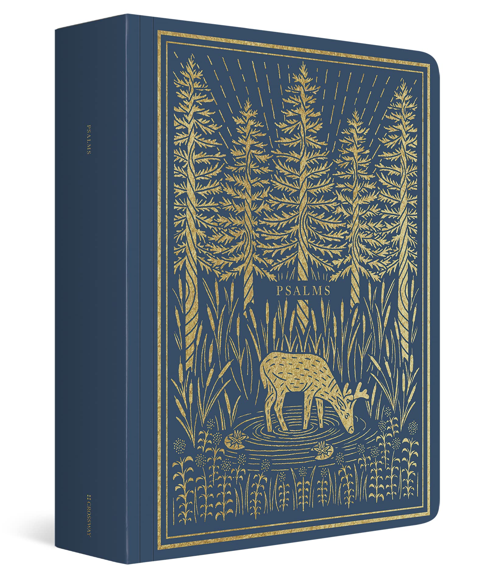 ESV Illuminated Scripture Journal: Psalms,Used