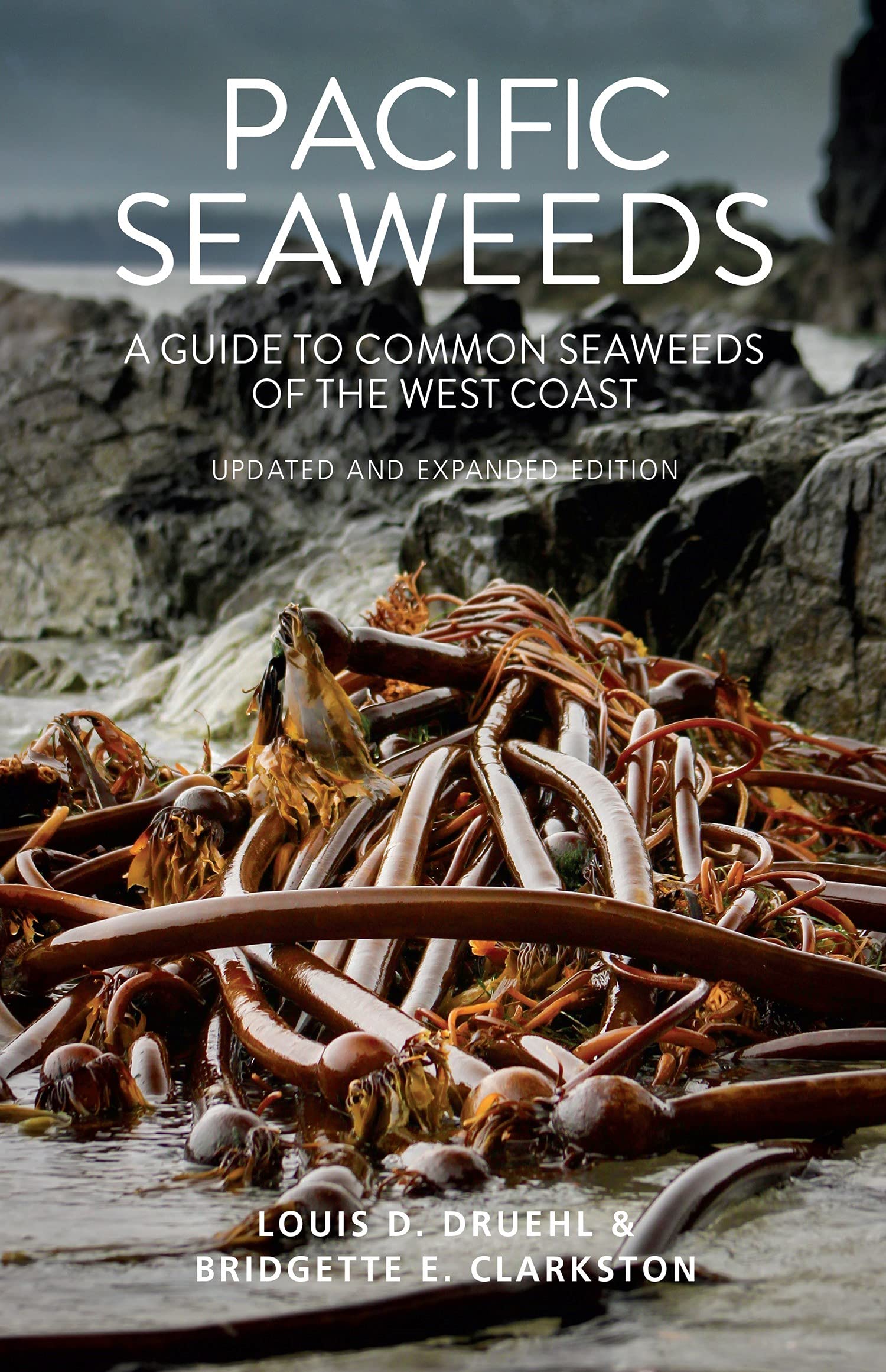 Harbour Publishing Pacific Seaweeds: Updated and Expanded Edition