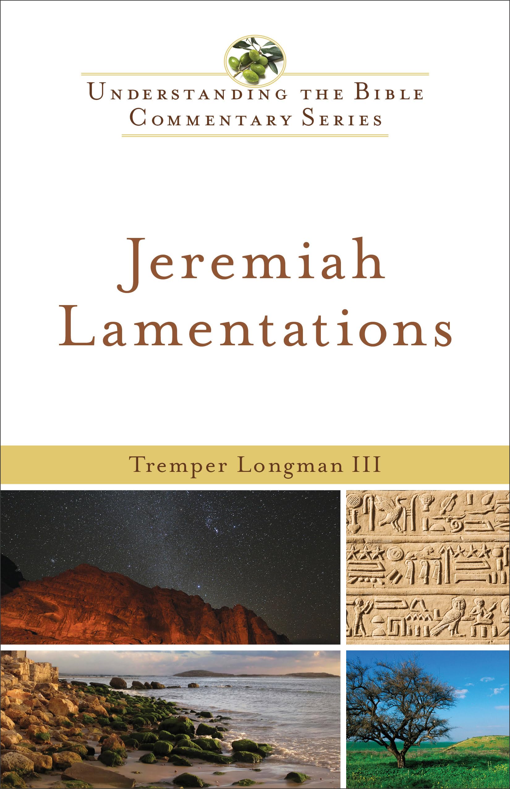 Jeremiah, Lamentations (Understanding The Bible Commentary Series),New