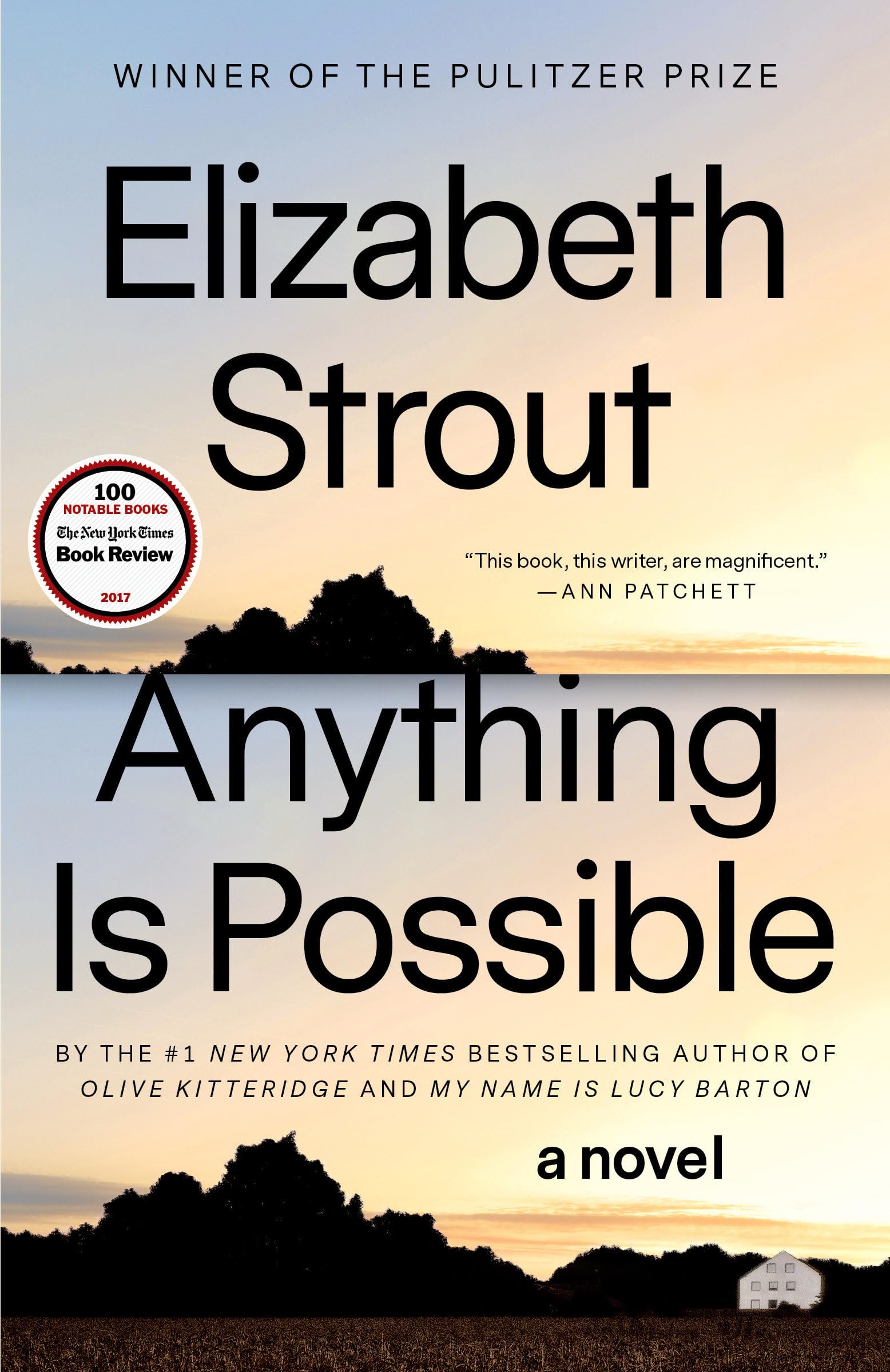 Anything Is Possible: A Novel,New