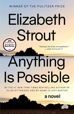Anything Is Possible: A Novel,New