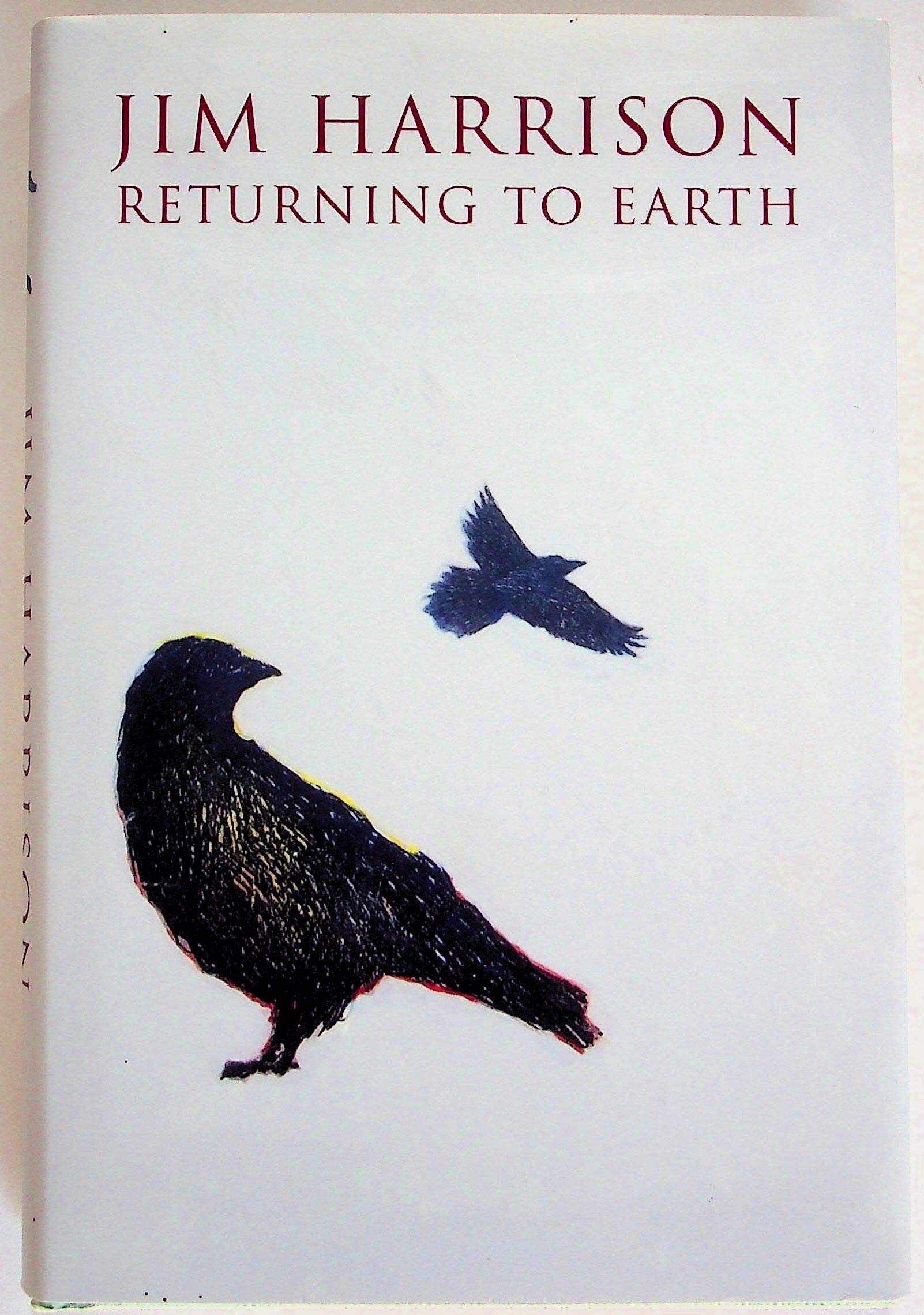 Returning to Earth: A Novel,Used