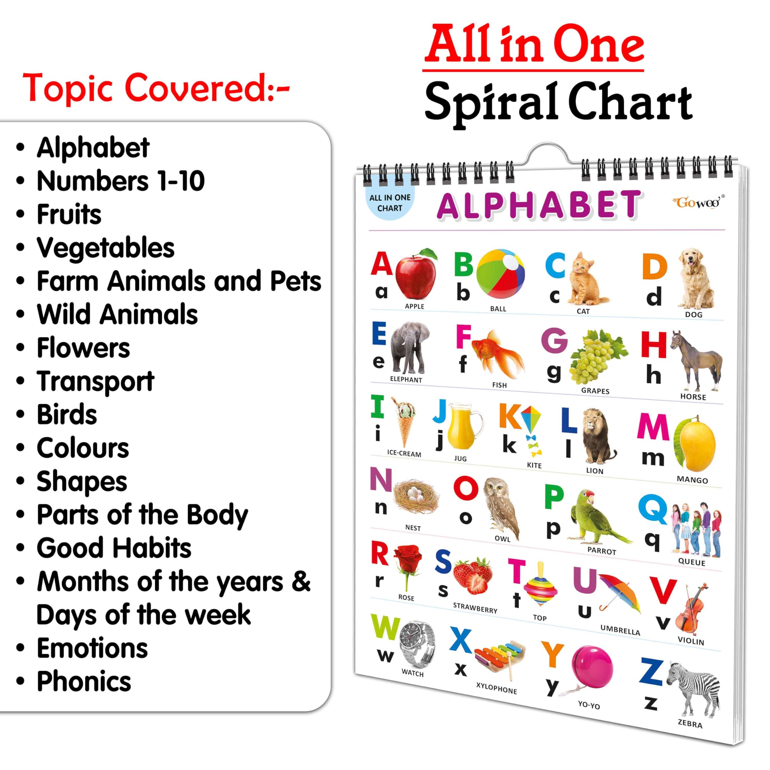 My First All In One Spiral Chart : With 16 Topics : Alphabet, Numbers 1-10, Shapes, Colours, Flowers, Fruits, Vegetables, Wild Animals, Birds, Parts Of The Body, Good Habits And More