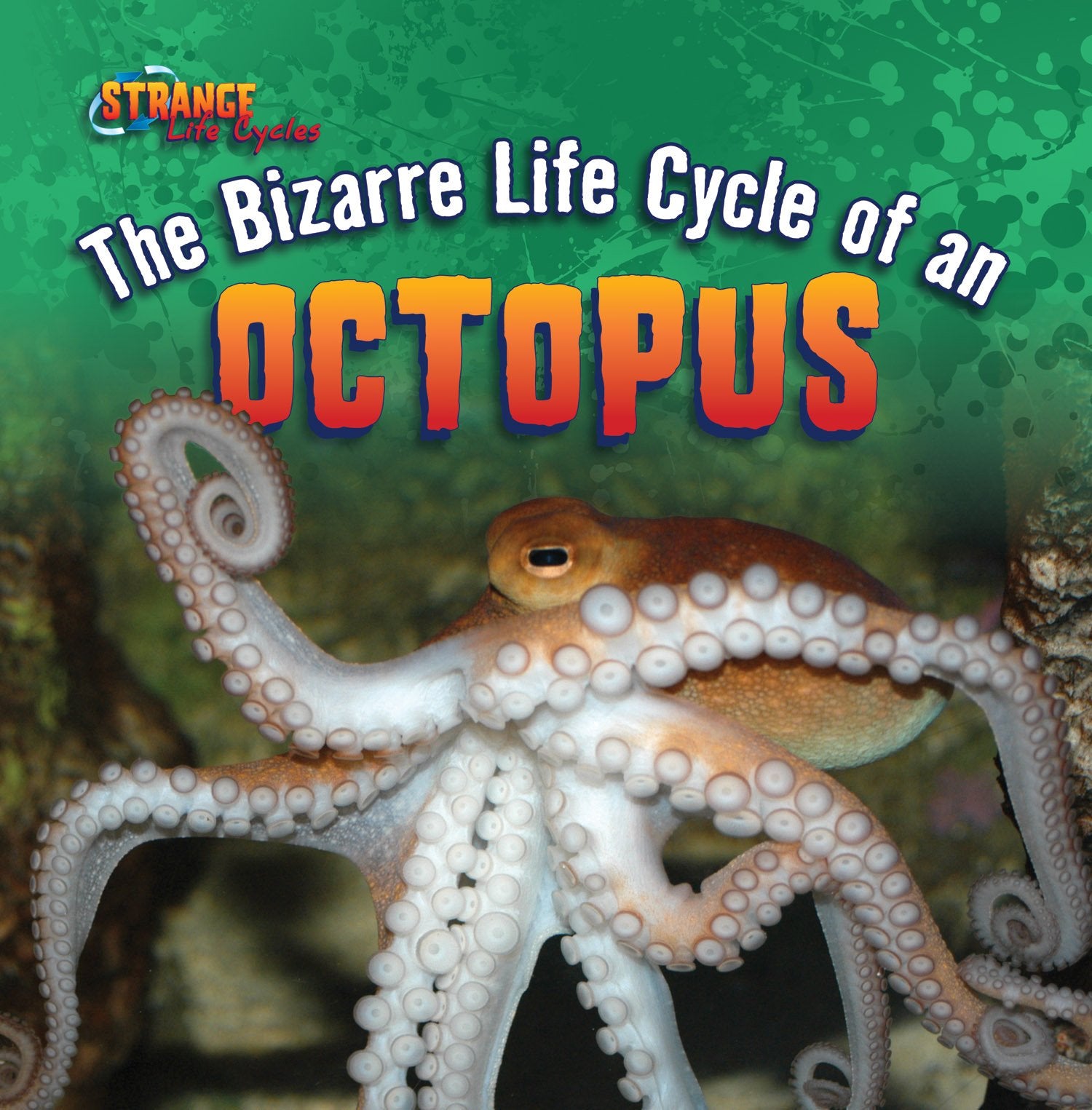 The Bizarre Life Cycle Of An Octopus (Strange Life Cycles),Used