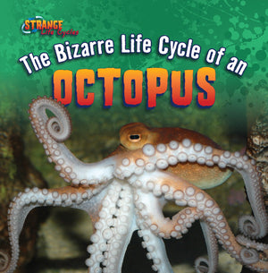 The Bizarre Life Cycle Of An Octopus (Strange Life Cycles),Used