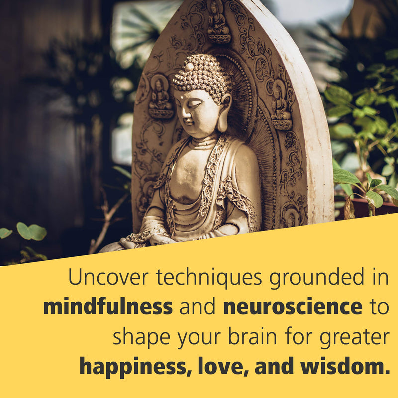 Buddha's Brain: The Practical Neuroscience of Happiness, Love, and Wisdom,New
