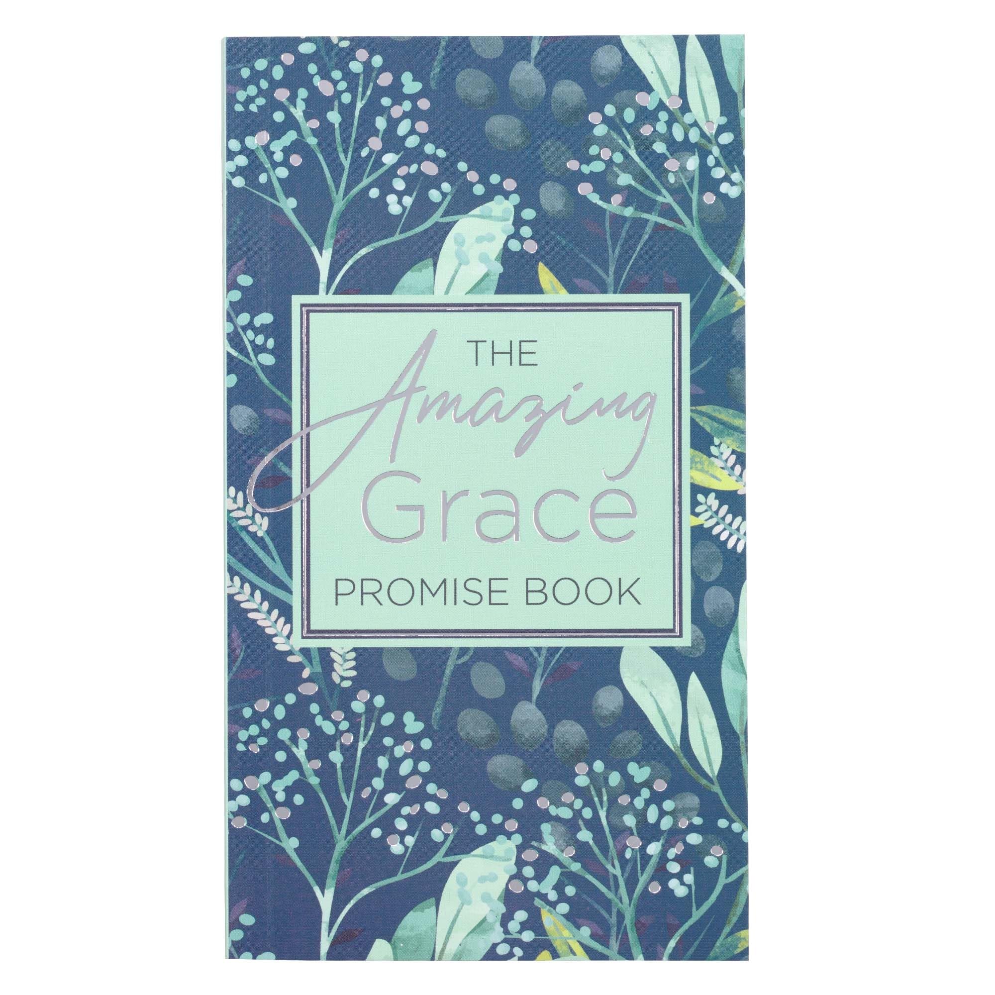 The Amazing Grace Promise Book in Green and Blue,Used