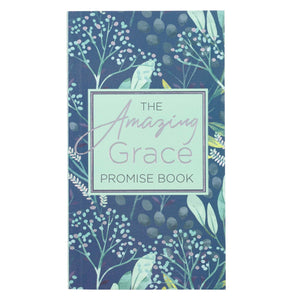The Amazing Grace Promise Book in Green and Blue,Used