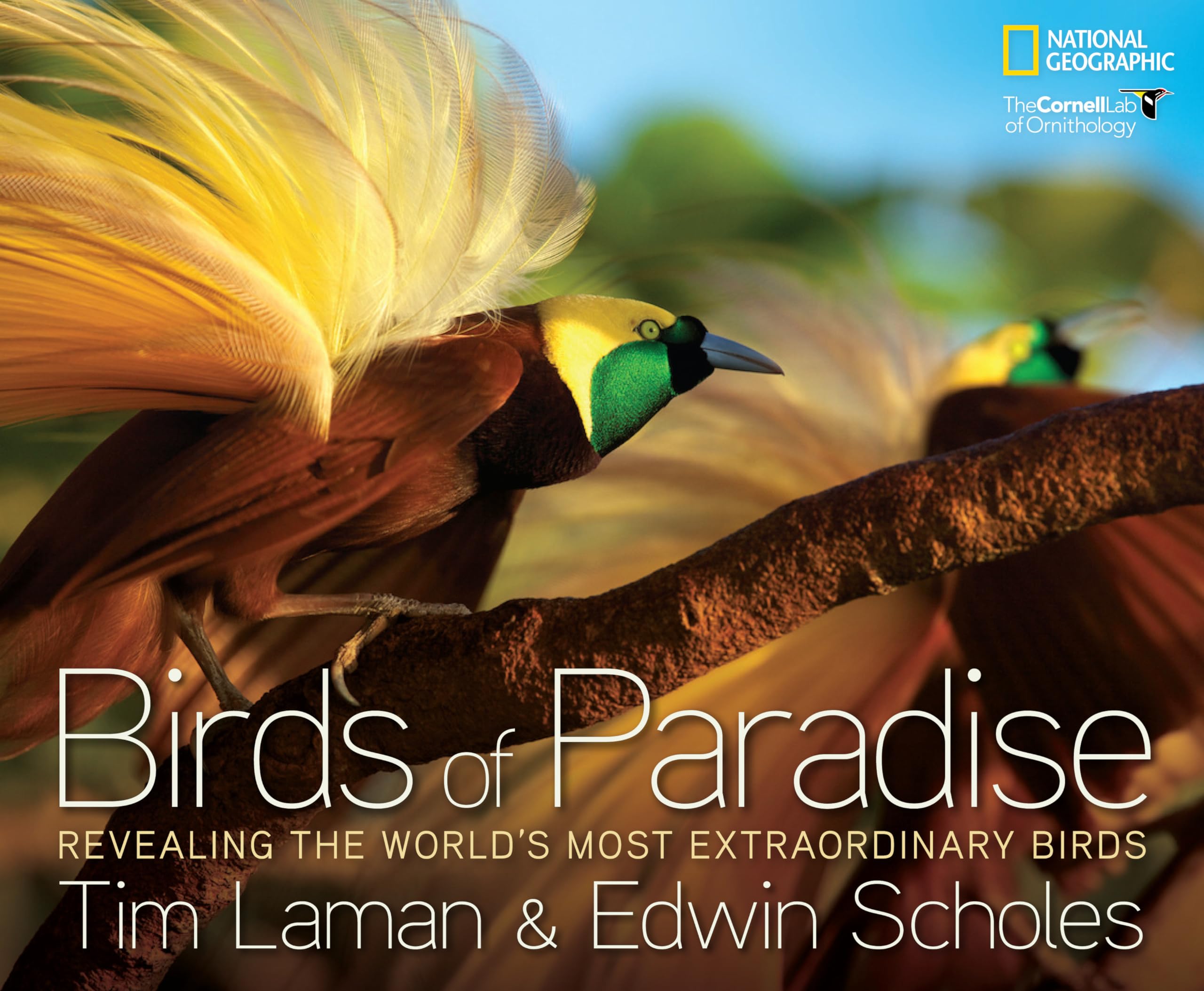 Birds Of Paradise: Revealing The World'S Most Extraordinary Birds