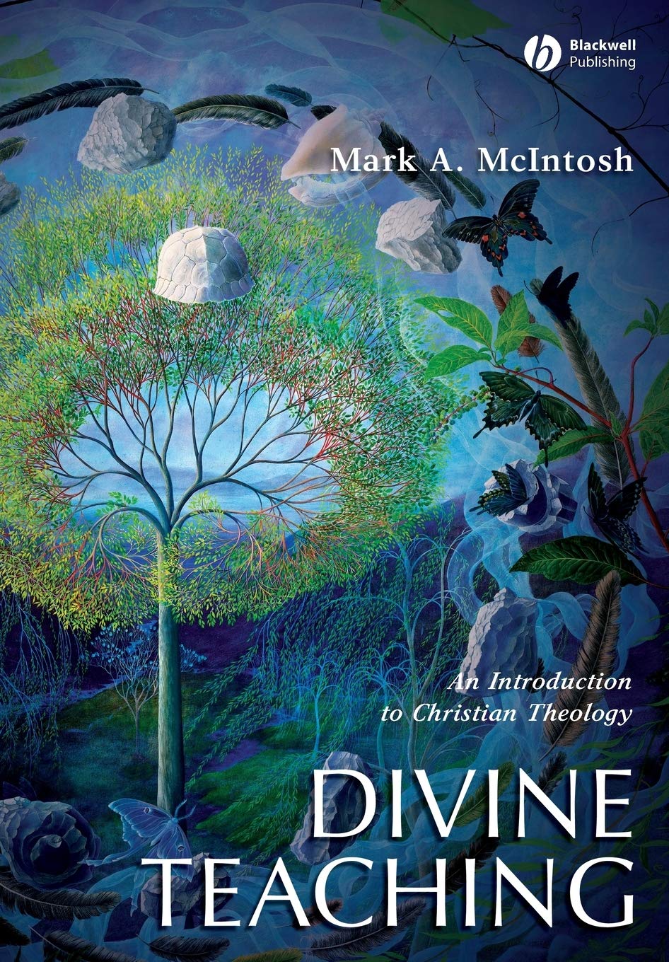 Divine Teaching: An Introduction to Christian Theology,Used
