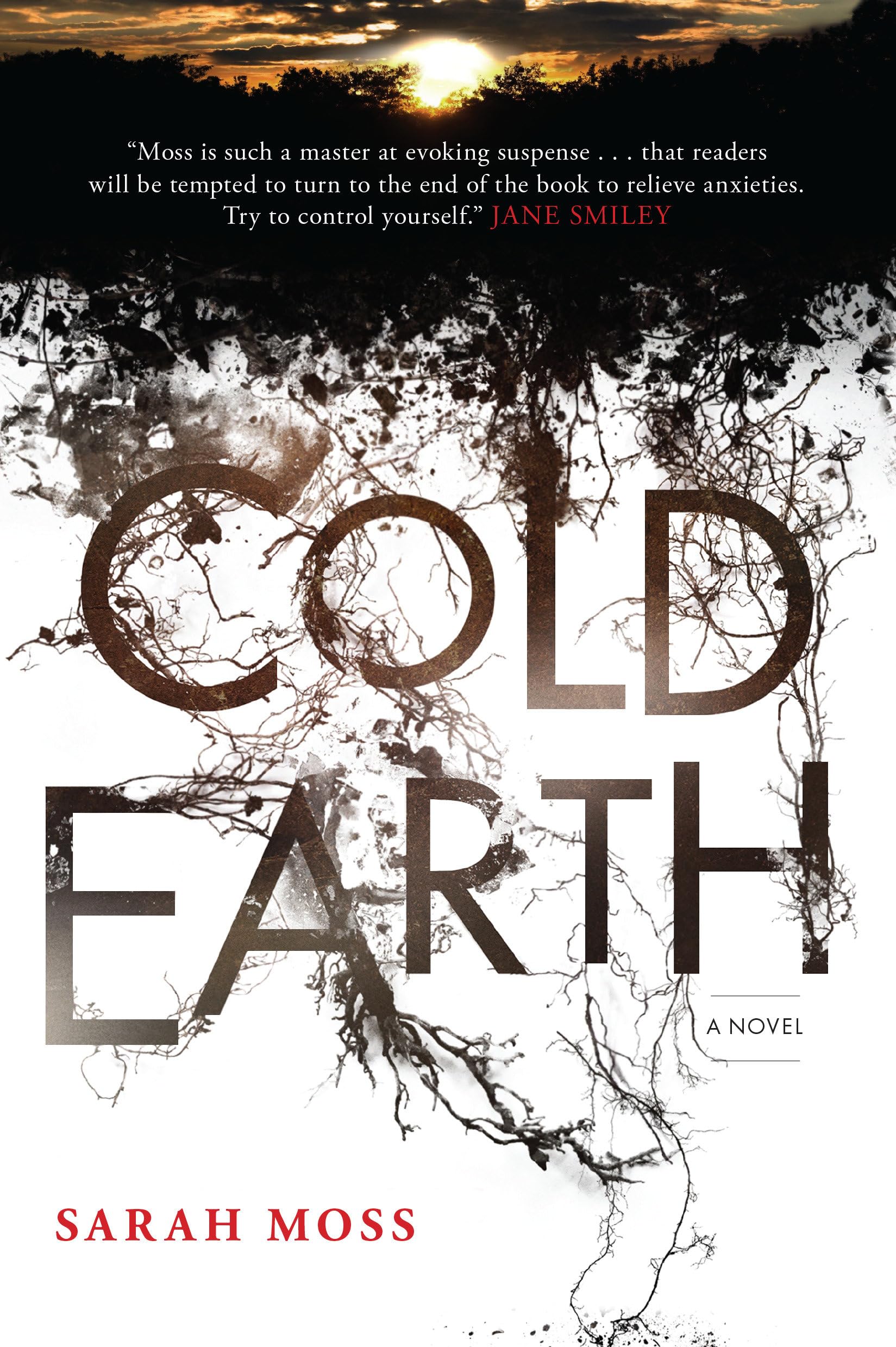 Cold Earth: A Novel,Used